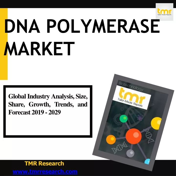 dna polymerase market