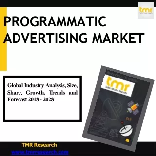 programmatic advertising market