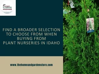 Find a broader selection to choose from when buying from plant nurseries in Idah