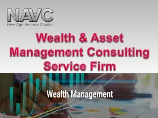 Wealth &Asset Management Consulting Service Firm