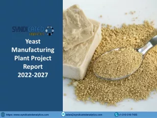 yeast