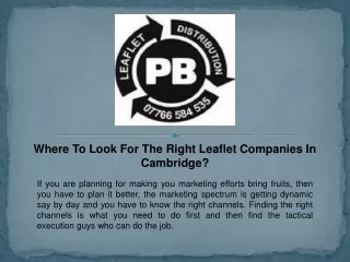 Where To Look For The Right Leaflet Companies In Cambridge