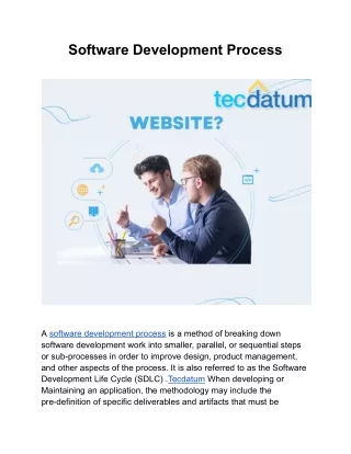 software development process