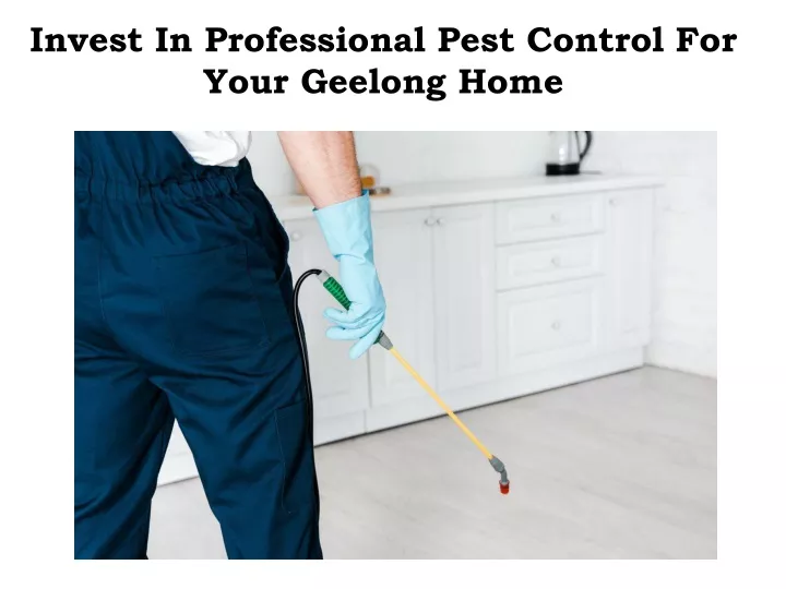 invest in professional pest control for your geelong home