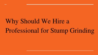 Why Should We Hire a Professional for Stump Grinding