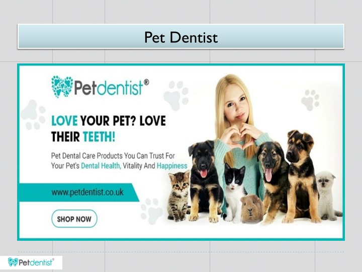 pet dentist