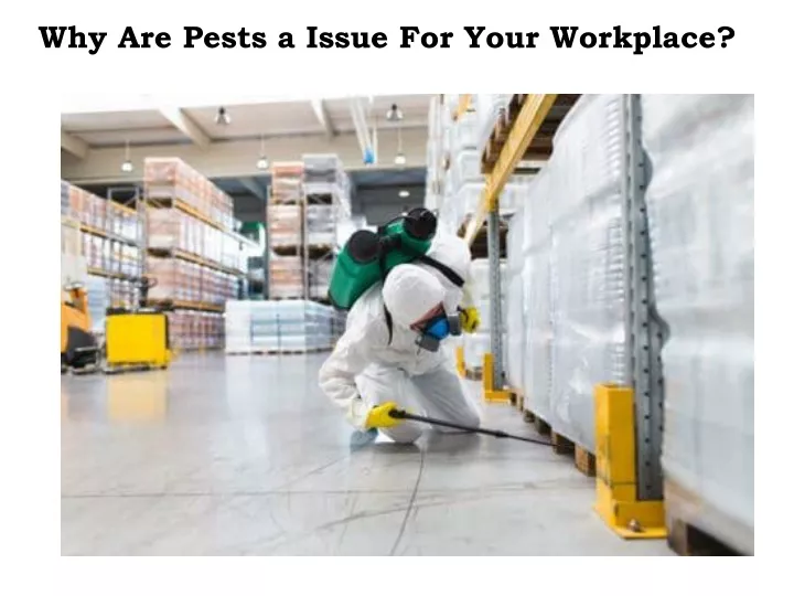 why are pests a issue for your workplace