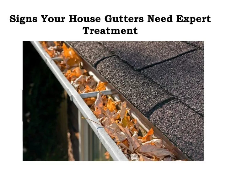 signs your house gutters need expert treatment