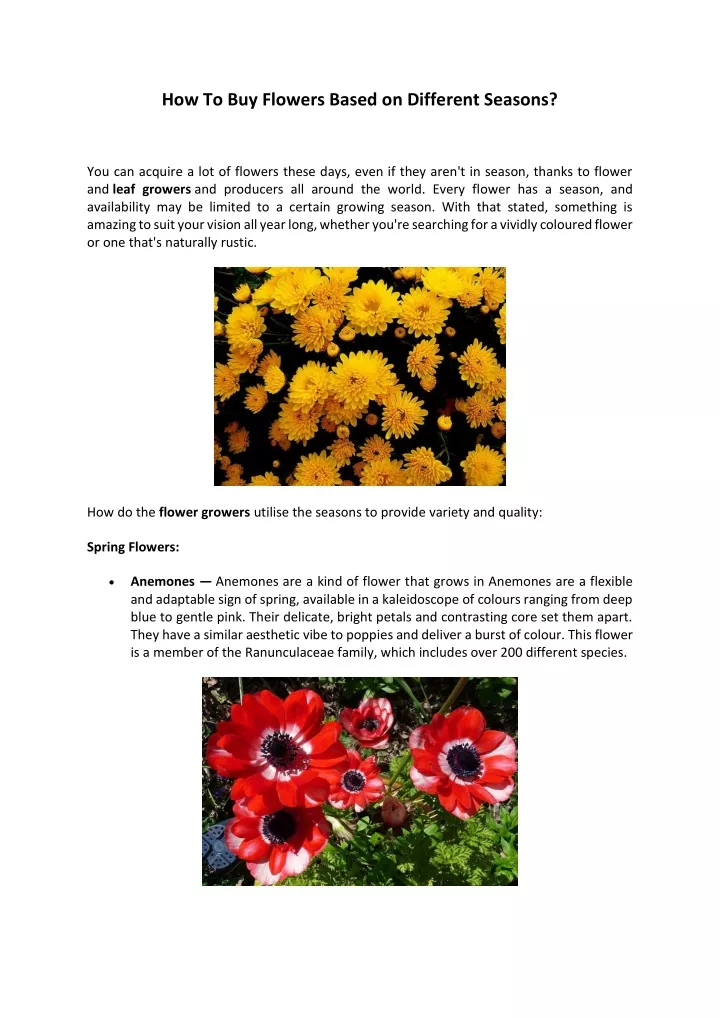 how to buy flowers based on different seasons