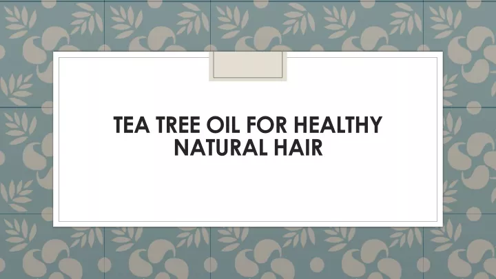 tea tree oil for healthy natural hair