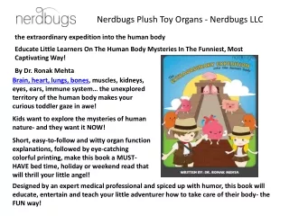 Featured in & Nerdbugs Plush Toy Organs – Pancreas Plush Organ Toys,