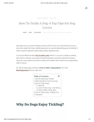 How To Tickle A Dog_ 4 Top Tips For Dog Lovers