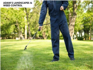 best lawn treatment in Tulsa