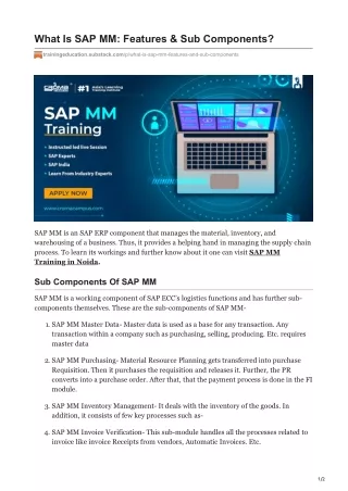 what is sap mm features sub components