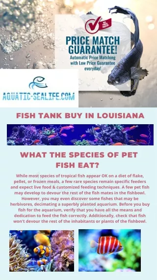 Top Fish Tank Buys In Louisiana From Aquatic-Sealife