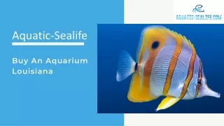 Buy A High-Quality Aquarium In Louisiana At Aquatic-Sealife