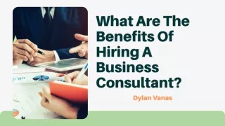What Are The Benefits Of Hiring A Business Consultant | Dylan Vanas