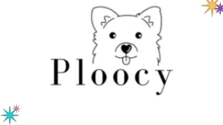 Buy Dog Accessories
