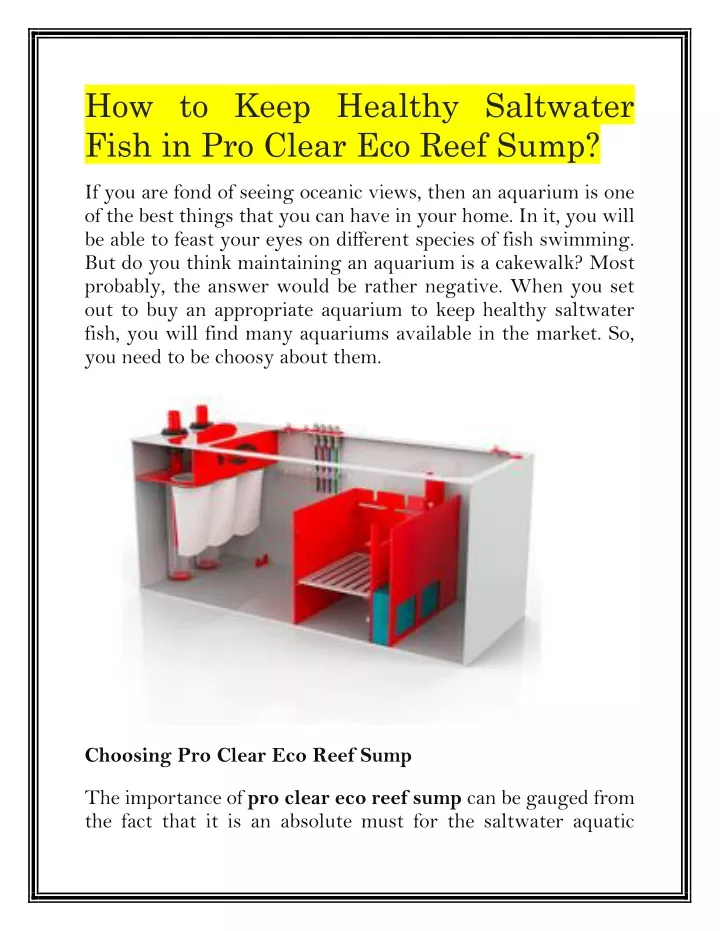 how to keep healthy saltwater fish in pro clear