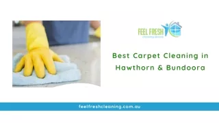 Best Carpet Cleaning in Hawthorn & Bundoora