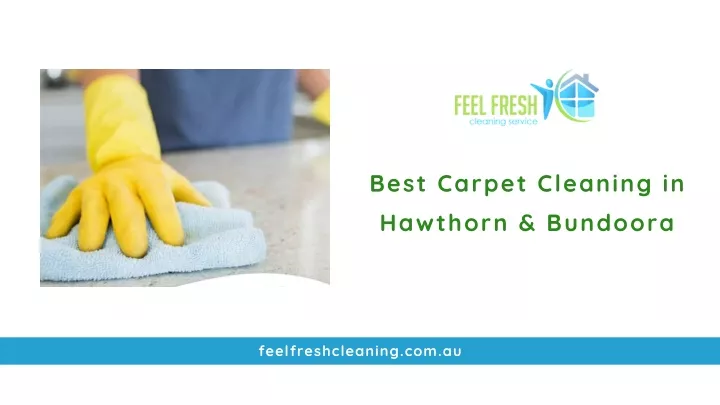 best carpet cleaning in hawthorn bundoora