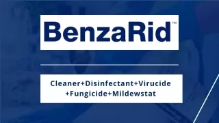Cleaner Disinfectant Virucide Fungicide Mildewstat- Benzarid