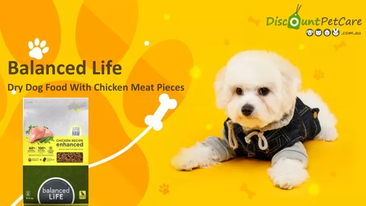 dry dog food with chicken meat pieces