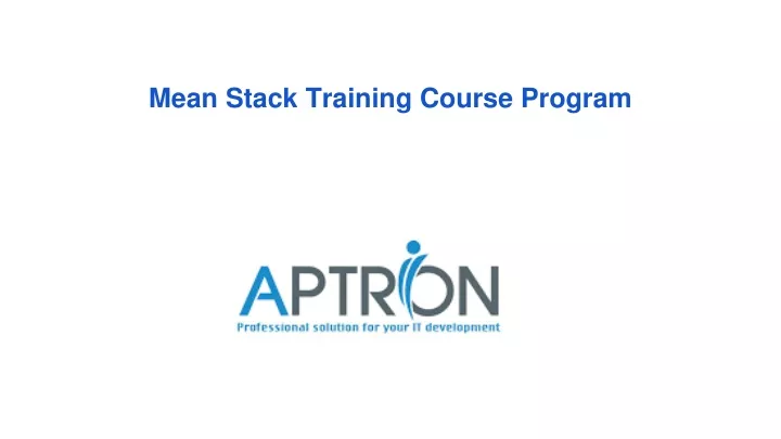 mean stack training course program