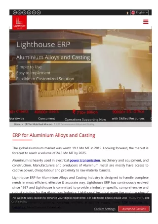 ERP for Aluminium Alloys