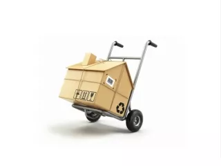 Dolphin Relocation Packers and Movers