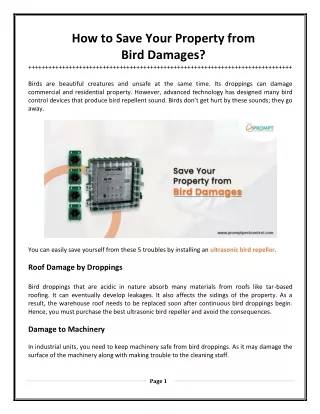 How to Save Your Property from Bird Damages?