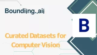Curated datasets for computer vision