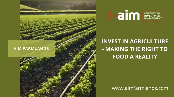 invest in agriculture making the right to food