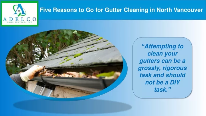 five reasons to go for gutter cleaning in north