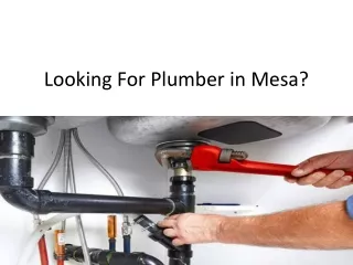 looking for plumber in mesa