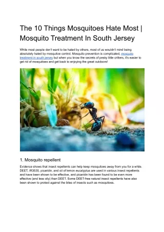 The 10 Things Mosquitoes Hate Most | Mosquito Treatment In South Jersey