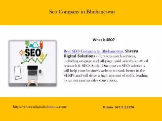 Seo Company in Bhubaneswar
