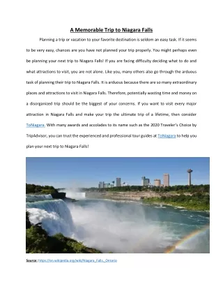 A Memorable Trip to Niagara Falls
