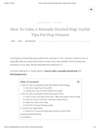 How To Calm A Sexually Excited Dog_ 4 Useful Tips For Owners