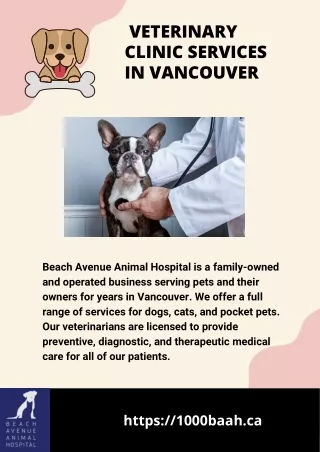 Veterinary Clinic Services in Vancouver