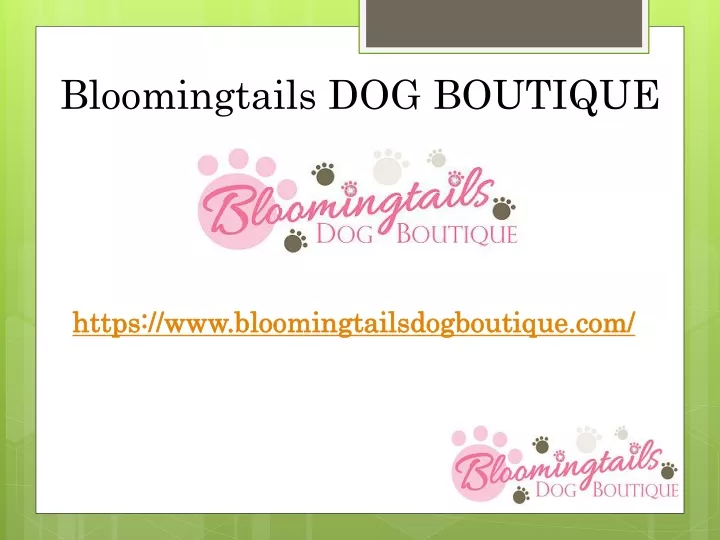 bloomingtails dog boutique