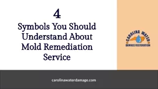 4 Symbols You Should Understand About Mold Remediation Service