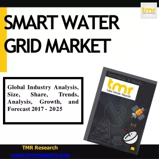 smart water grid market