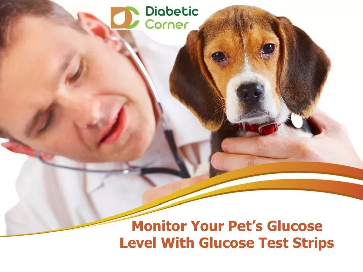 monitor your pet s glucose level with glucose