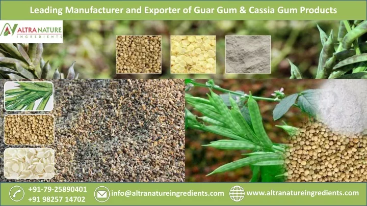 leading manufacturer and exporter of guar