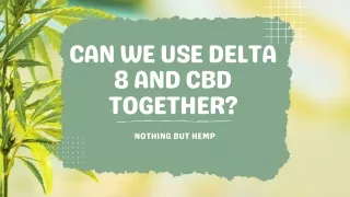 Can We Use Delta 8 and CBD Together