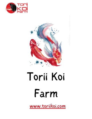 different-types-of-koi-fish