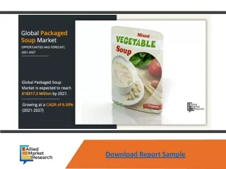 download report sample