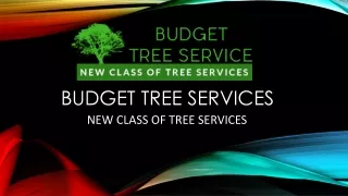 Budget Tree Service in California, USA | Call Now 818-968-6997