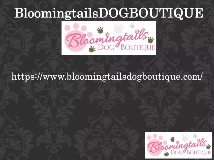 bloomingtailsdogboutique